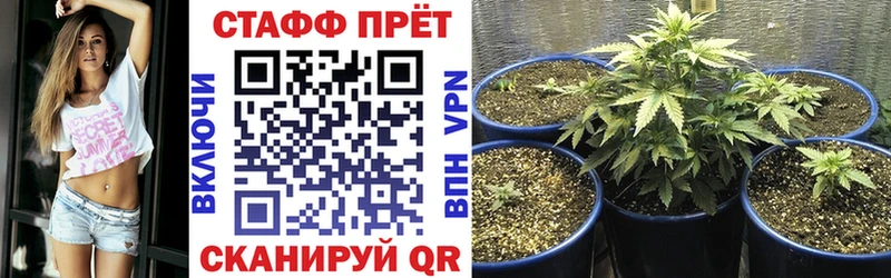 Псилоцибиновые грибы Краснотурьинск