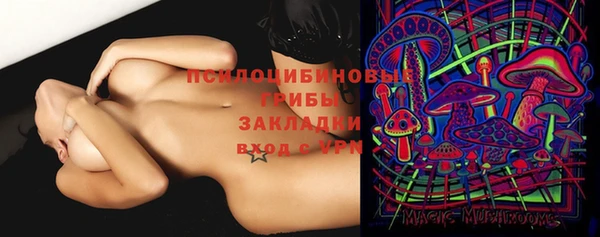 кокс Белокуриха
