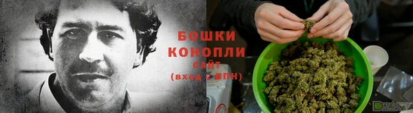 кокс Белокуриха