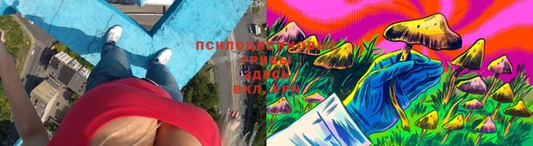 кокс Белокуриха