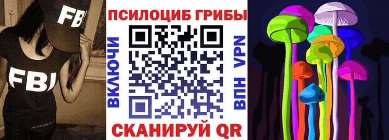 Купить где  Краснотурьинск  Псилоцибиновые грибы Psilocybe 